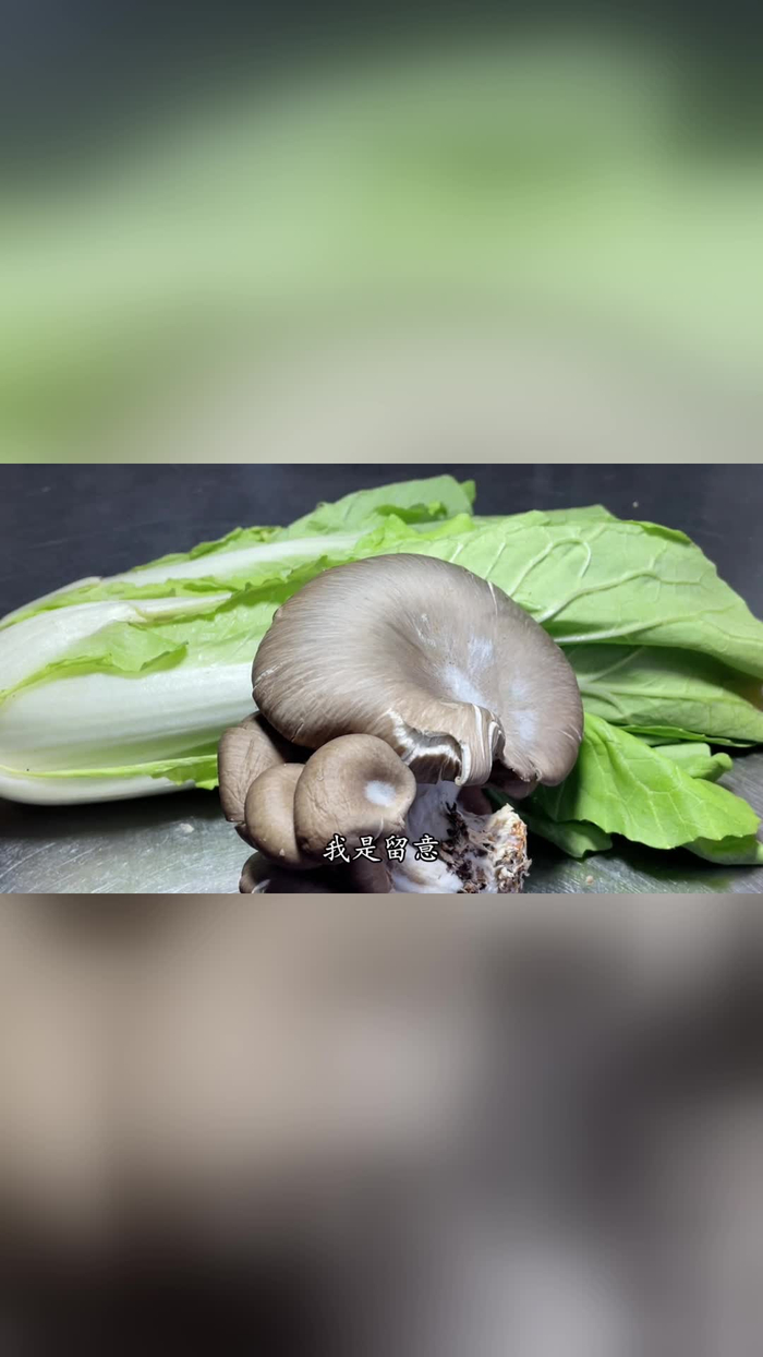 厨师长教你平菇炒小白菜家常做法,步骤详细,鲜香味美下酒又下饭_手机