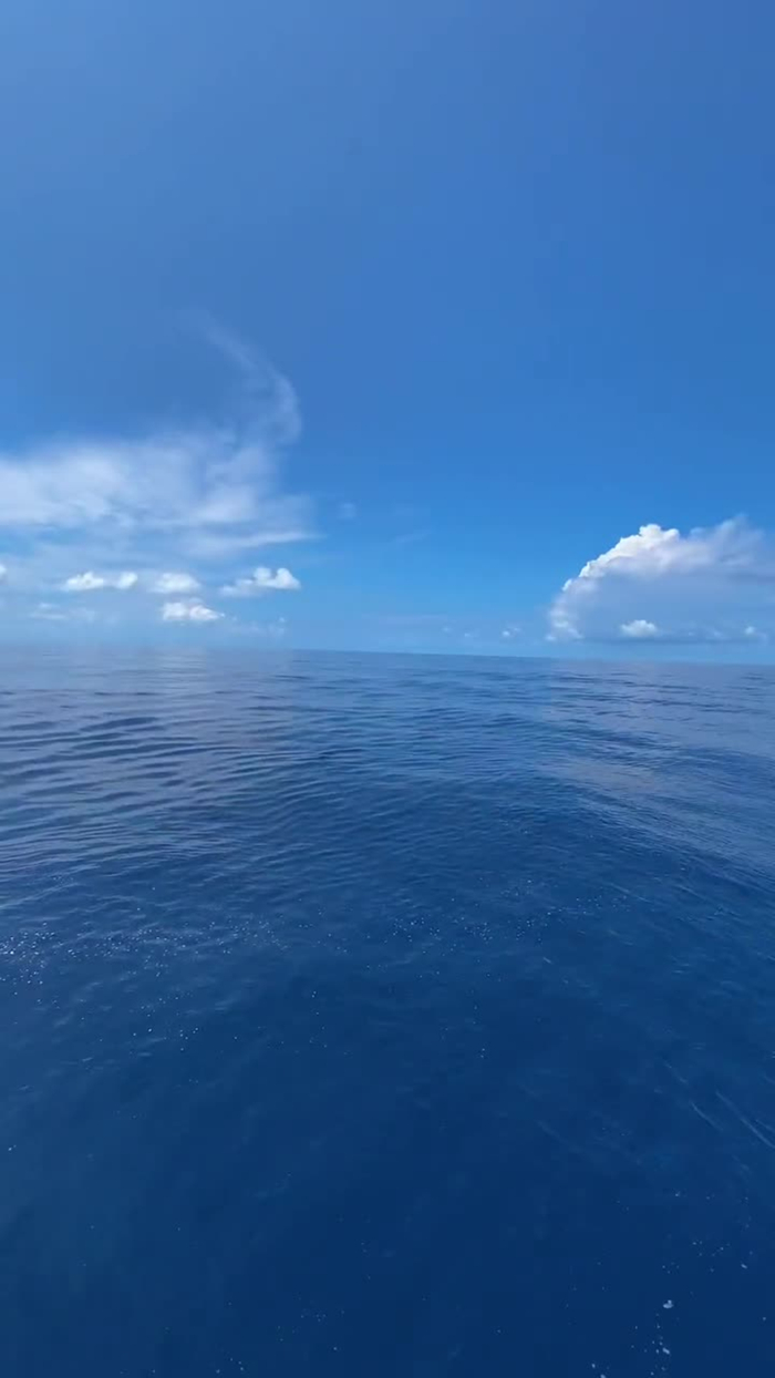 《情感文案合集》感时花溅泪，恨别鸟惊心。__财经头条__新浪财经