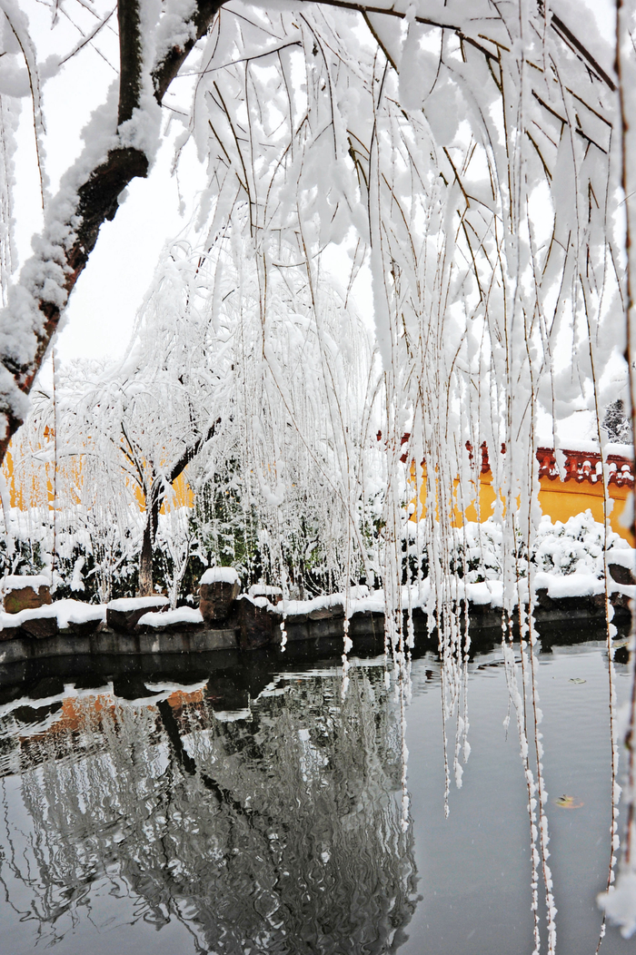 这次寒潮给无锡带来了霰而不是雪就看看2013年的斗山雪景