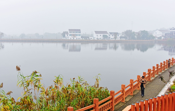 雾里枫景别样美,江苏无锡锡山区锡北镇,中国美丽休闲乡村斗山村