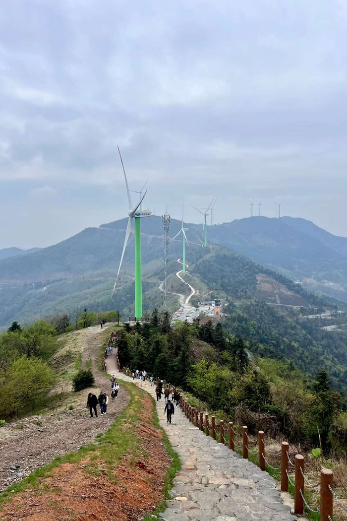 大幕山的春天(湖北省咸宁通山县大幕山森林公园)