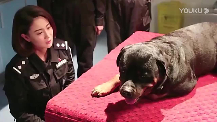 警花与警犬看着一口饭都不吃的妞妞优优难受坏了