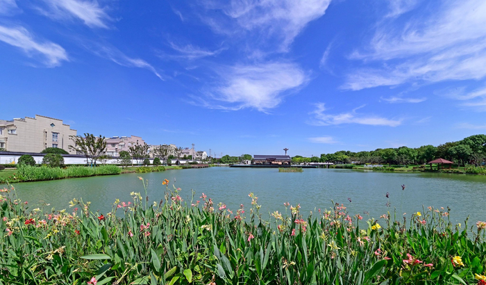 2023年09月01日江苏无锡锡山区东港黄土塘水晶蓝天毛卷云