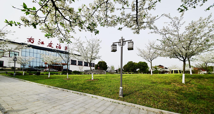 花开烂漫春光美江苏省无锡市锡山区锡北镇渚友江南花园酒店