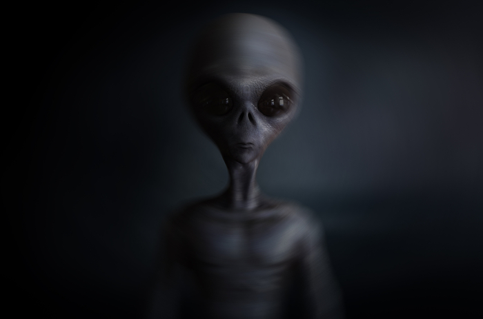 很多人都会好奇,外星人究竟长什么样?