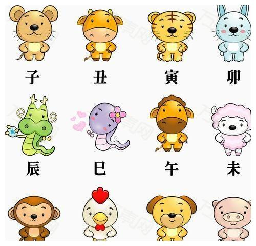 新浪生肖运势月运势(新浪生肖运势每日运势)