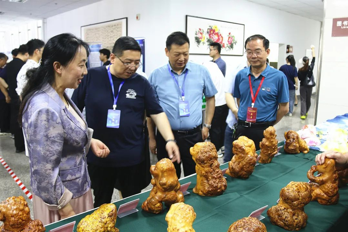 新县职业高中师生参加信阳市2024年职教活动周活动