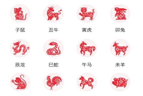 常识积累:十二生肖文化