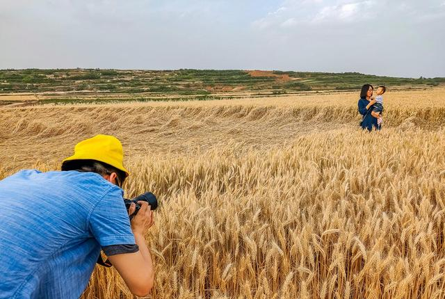 就在长安区神禾原上,这里路两边随处可见大片的麦田,每次看到这种场景