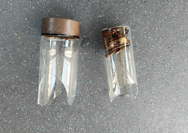 近日,在大连404路公交车上,一名老者手里的玻璃杯突然碎裂,留下一地