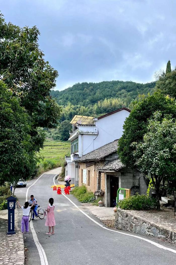 蕲春雾云梯田景点电话图片