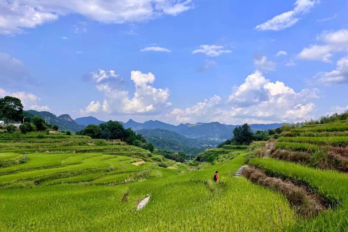 蕲春雾云梯田景点电话图片