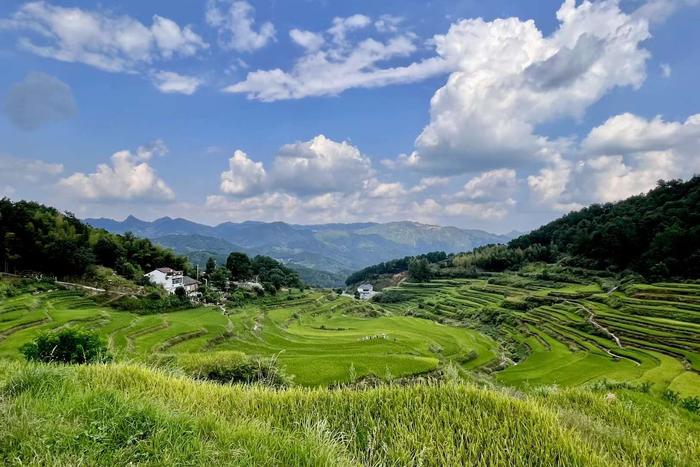 蕲春雾云梯田景点电话图片