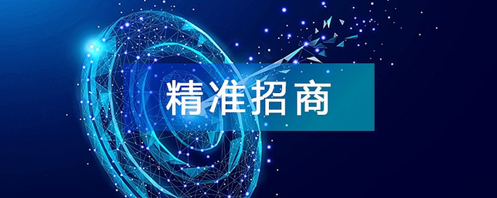 关键词:招商引资,精准招商