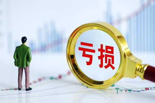 企业亏损弥补年限 延长亏损声明啥意思