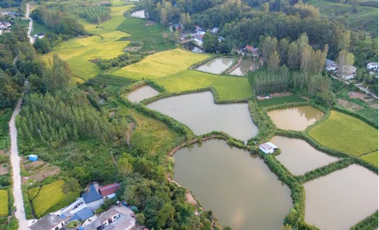 浉河区董家河镇高岭村:发展特色产业 助推乡村振兴"加速跑"__财经头条