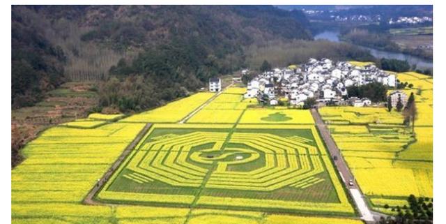 深入探秘安徽體育幕后