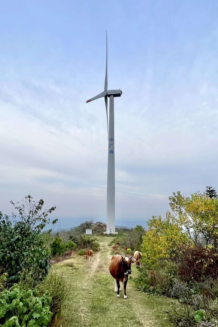 三爪山风电场的秋色(湖北省孝感市大悟县丰店镇)