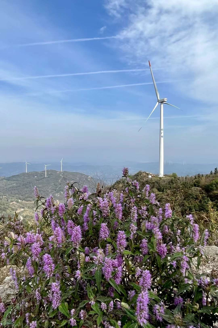 三爪山风电场的秋色(湖北省孝感市大悟县丰店镇)