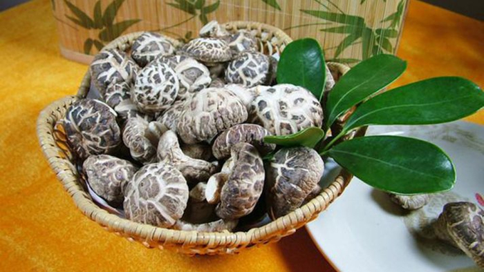 泌阳花菇:中国顶级菇类产品的独特魅力