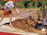 排坛新鲜事！朱婷茂名种树超接地气，中国男排3-1完胜韩国