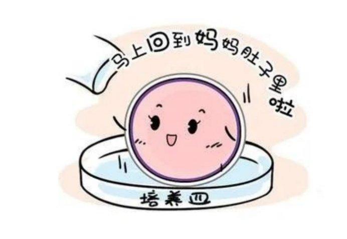 40岁以上备孕强力养卵后，两个月养出优质囊胚的方法