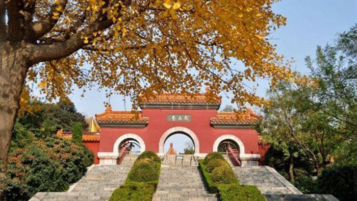 暑假到徐州旅游,感受历史文化与现代化的完美融合