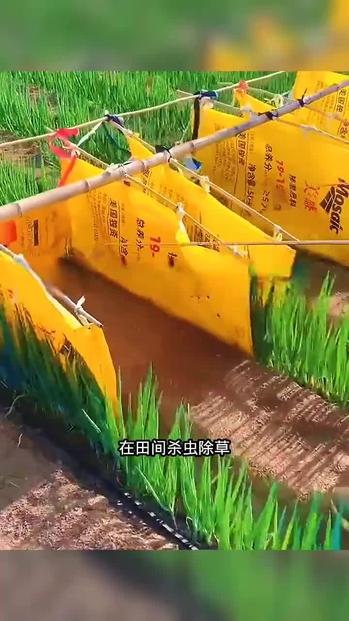 除草杀虫小妙招厉害