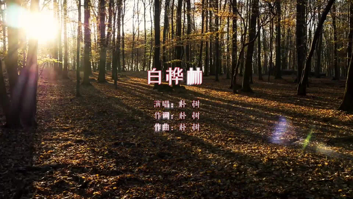 经典100首朴树白桦林