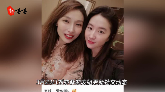 刘亦菲与表姐自拍表姐五官端正也是神仙颜值网友直呼好漂亮