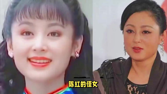 父母爱情演员陈红亲侄女出演遭质疑网友争论激烈