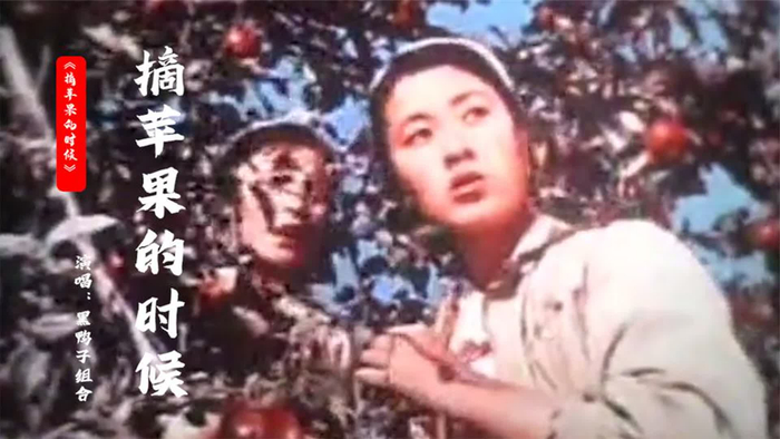 朝鲜电影插曲《摘苹果的时候》,中文版本,欢快的旋律,满满回忆