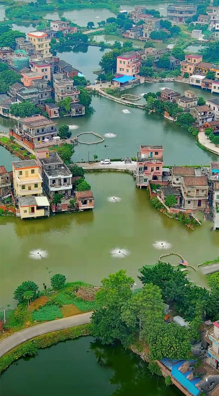 广州农村壮丽千湖岛家家门前一片湖堪称东方威尼斯