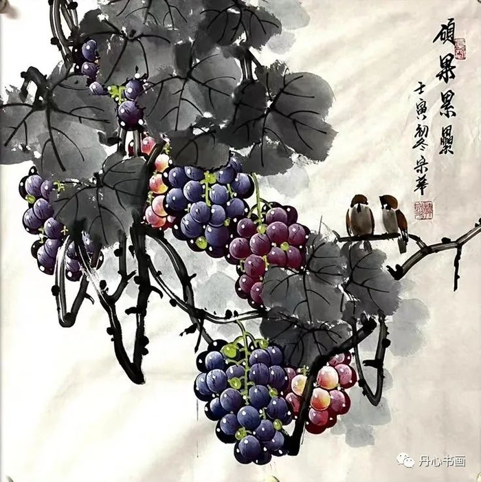 晶莹剔透,娇艳欲滴|葡萄名家韩宗华
