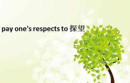 respect的短语集合，快来涨知识了