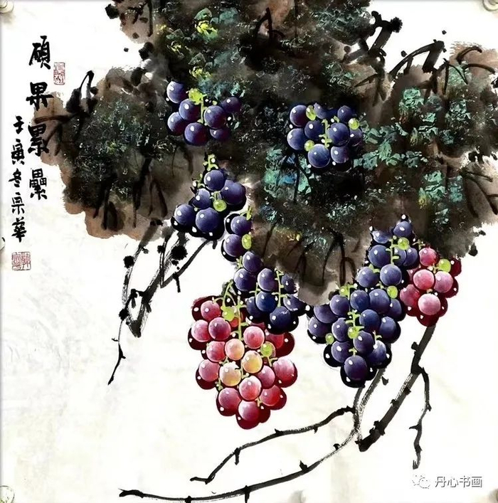 晶莹剔透,娇艳欲滴|葡萄名家韩宗华