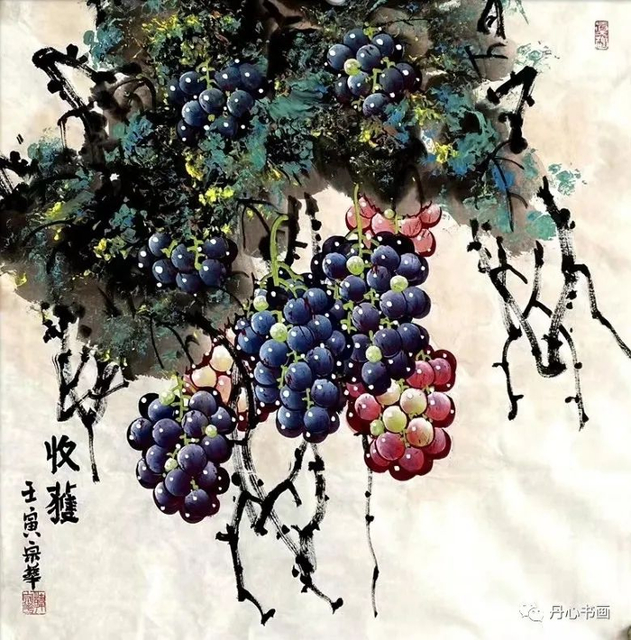 晶莹剔透,娇艳欲滴|葡萄名家韩宗华