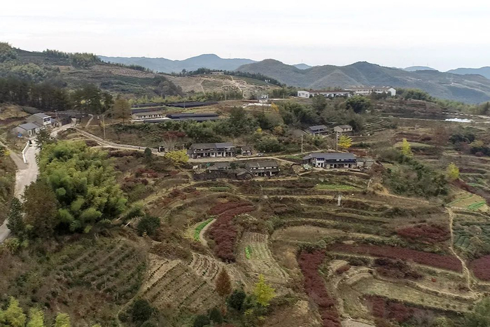 乡里干部出手了，浙江宁波这个村子可能马上要火起来了