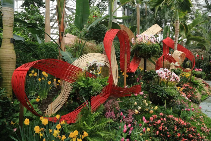来徐汇,看一场特色年宵花展|上海植物园|年宵|花展_新浪新闻