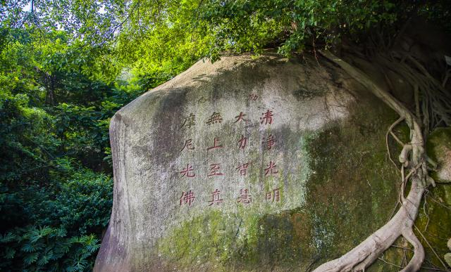 【五律】《草庵千年桧》庄灿煌