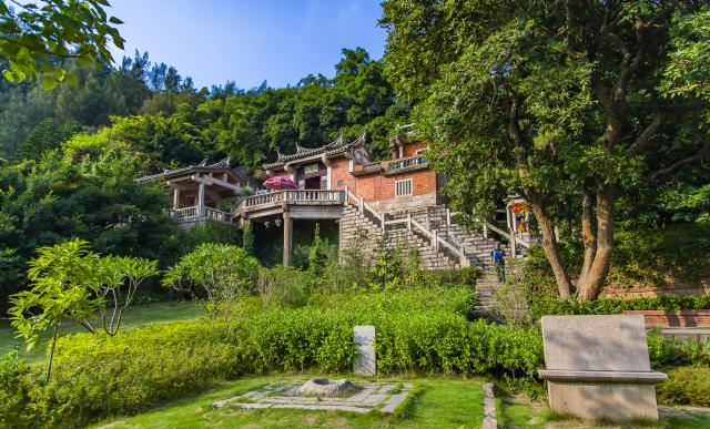 【五律】《草庵千年桧》庄灿煌