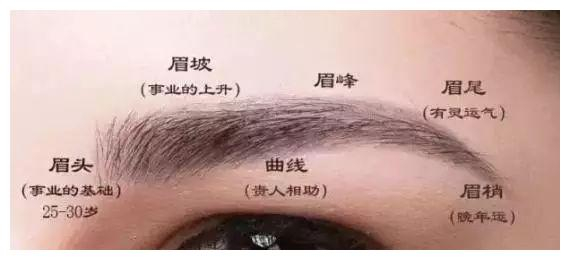 “眉开生运”：七种眉毛看你事业、婚姻、晚年运
