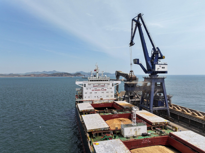 首单!大连港散粮码头公司保税大豆业务正式落地