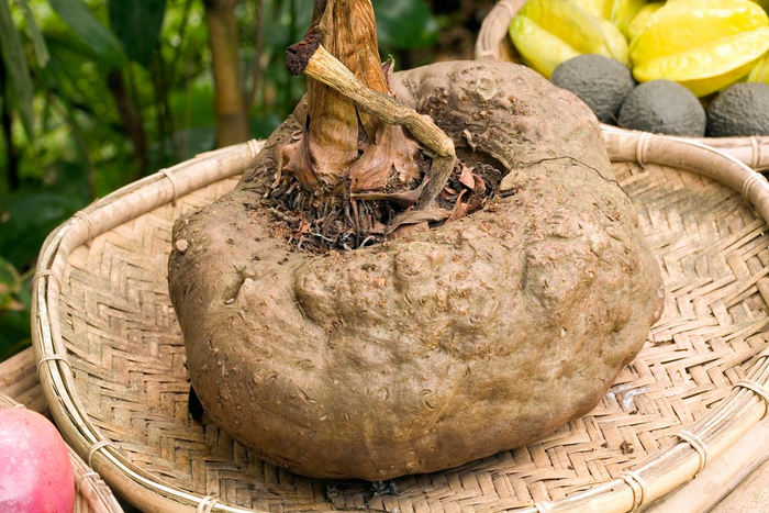 首先,要选取新鲜的魔芋块茎,削去外皮,洗净后切成薄片,放入清水中浸泡