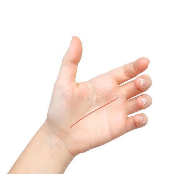 你手掌上有天柱纹吗？你有文艺才艺吗？|通天|细胞|掌纹|作家|音乐家_新浪新闻