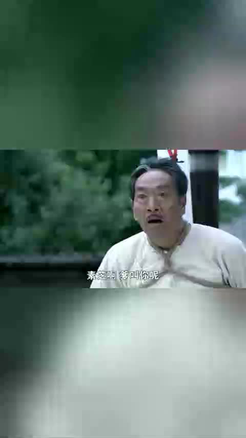 打狗棍那麻子执行死刑枪决后那素芝一声爹喊的让人心碎