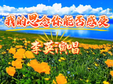 由李英演唱的《我的思念你能否感受》分享给喜欢听歌的友友们