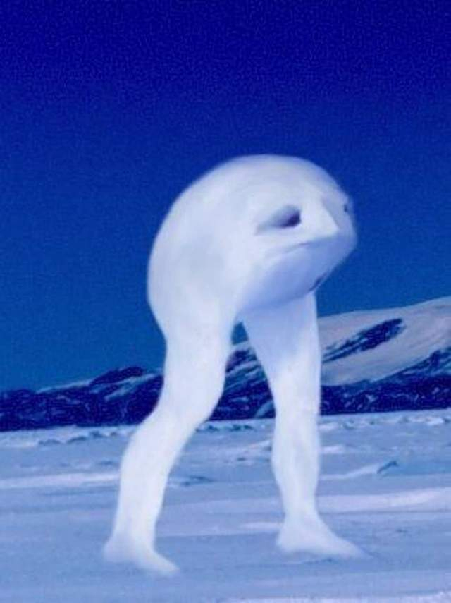 盘点世界各地传说中,最可怕的海怪