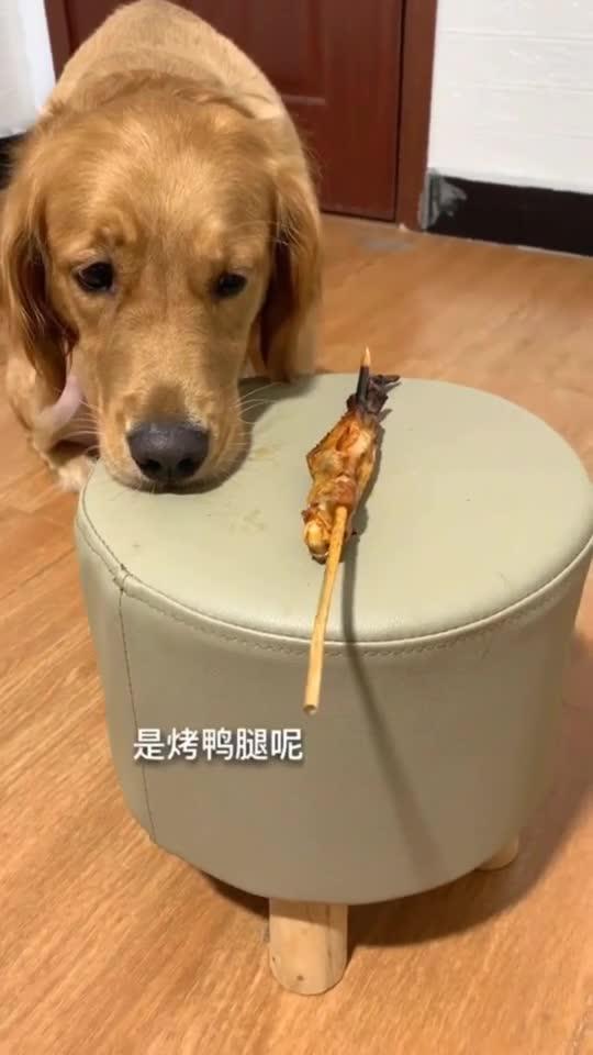 烤狗腿图片