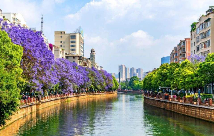 昆明,十大美好宜居城市!|云南|广播电视|昆明_新浪新闻